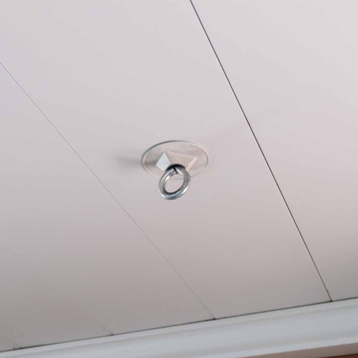 Haven Ceiling Mounts