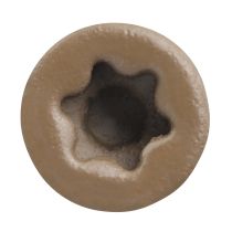 Trapease 2-1/2" Color-Matched Screws for Decking