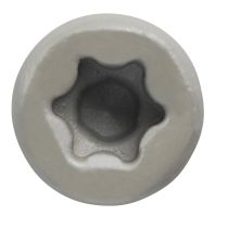 Trapease 2-1/2" Color-Matched Screws for Decking