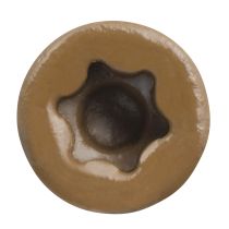 Trapease 2-1/2" Color-Matched Screws for Decking