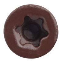 Trapease 2-1/2" Color-Matched Screws for Decking
