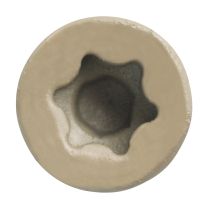 Trapease 2-1/2" Color-Matched Screws for Decking