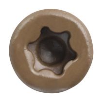 Trapease 2-1/2" Color-Matched Screws for Decking