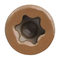 Trapease 2-1/2" Color-Matched Screws for Decking