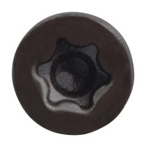 Trapease 2-1/2" Color-Matched Screws for Decking