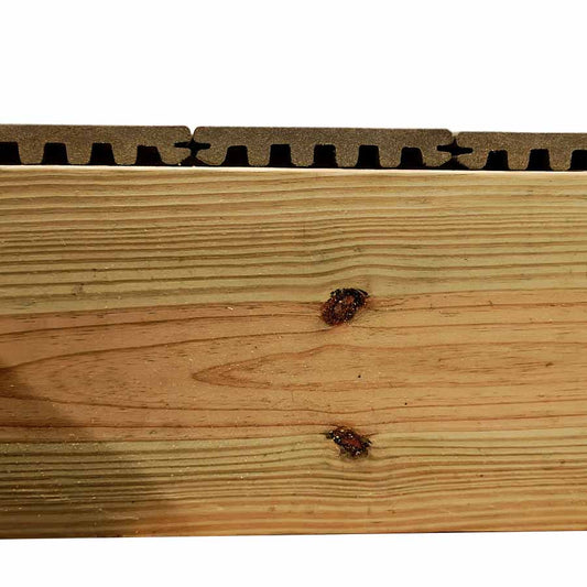 Finishing Deck Edges and Board Ends