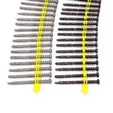 Collated Screws for Fastening Decking To Steel Framing