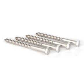 Stainless Steel Lag Bolts